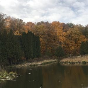 Meet your Posher, Jee